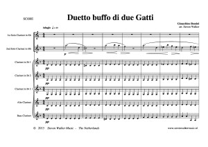 Duetto buffo di due Gatti - Rossini ( DEMO SCORE )